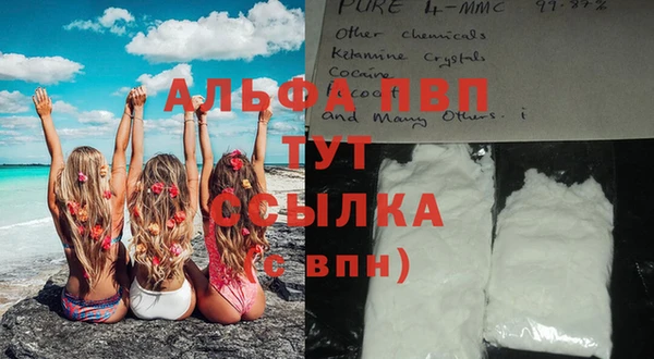 стафф Арсеньев