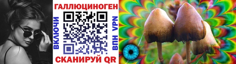даркнет сайт  Инсар  Псилоцибиновые грибы Psilocybe 